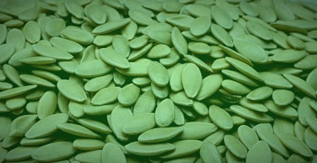 بذر خیار عالی (بذر خیار درجه یک)