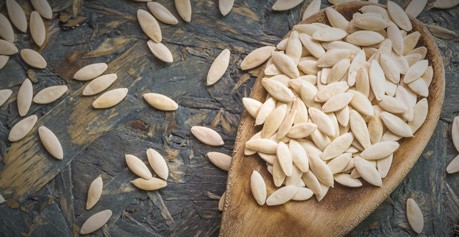 بذر خیار پربار (پر محصول، پر گل)