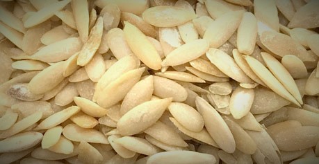 بذر خیار عمده