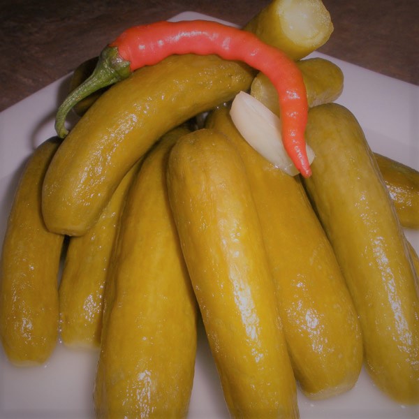 بذر خیار خیارشوری