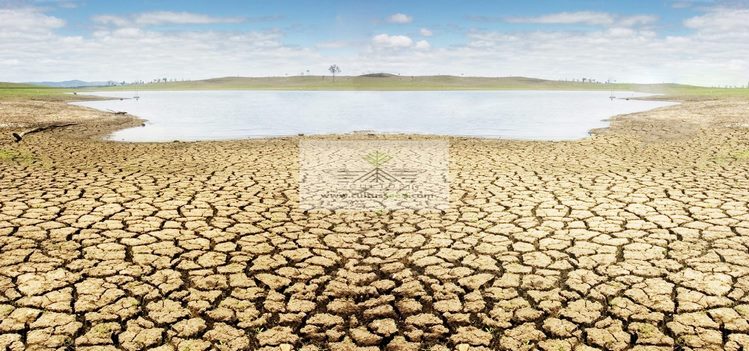 خشکسالی