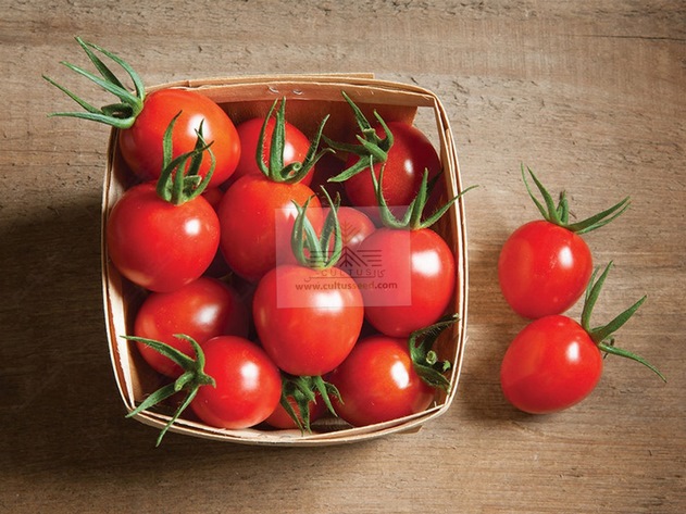 گوجه گیلاسی