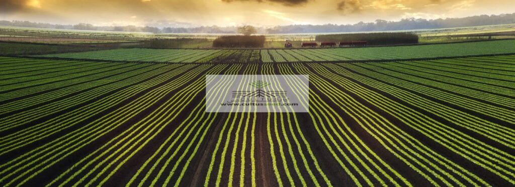 ۱۶هزار میلیارد تومان برای توسعه مکانیزاسیون کشاورزی در نظر گرفته شد!