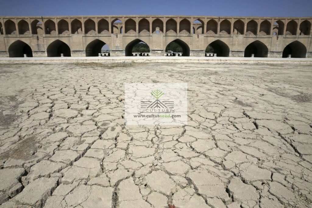 در دوره خشکسالی نیاز به واردات مواد غذایی داریم!