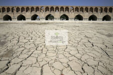 در دوره خشکسالی نیاز به واردات مواد غذایی داریم!