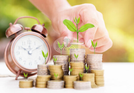 ستاد تنظیم بازار کشاورزی