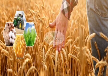 ساماندهی توليد بازار در بخش کشاورزی با تأسيس مرکز ملی بازاريابی