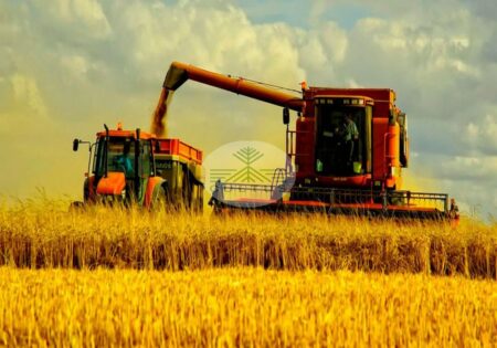 بکارگیری 8 هزار مُرَوّج برای انتقال دستاوردهای تحقیقاتی به عرصه‌های کشاورزی