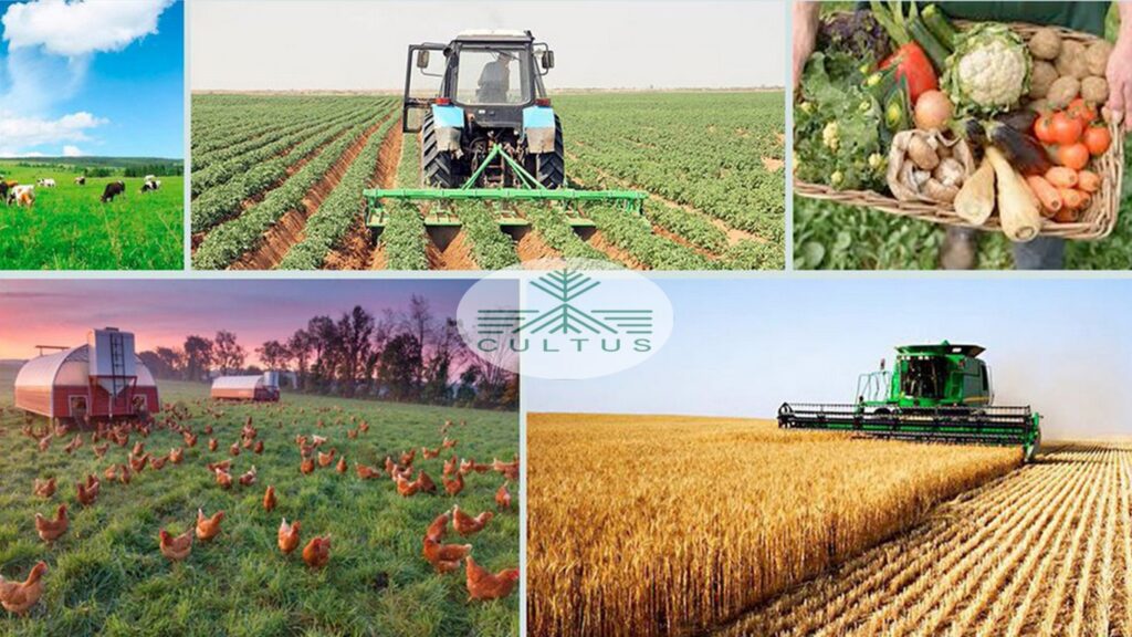 آییننامه اجرایی قانون تعاونی کردن تولیدات بخش کشاورزی ابلاغ شد