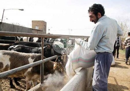 تجمع و اعتراض دامداران در چند استان