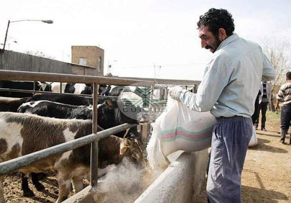 تجمع و اعتراض دامداران در چند استان