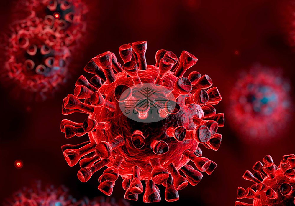 کرونا نابرابری در دسترسی به غذا را بیشتر کرد