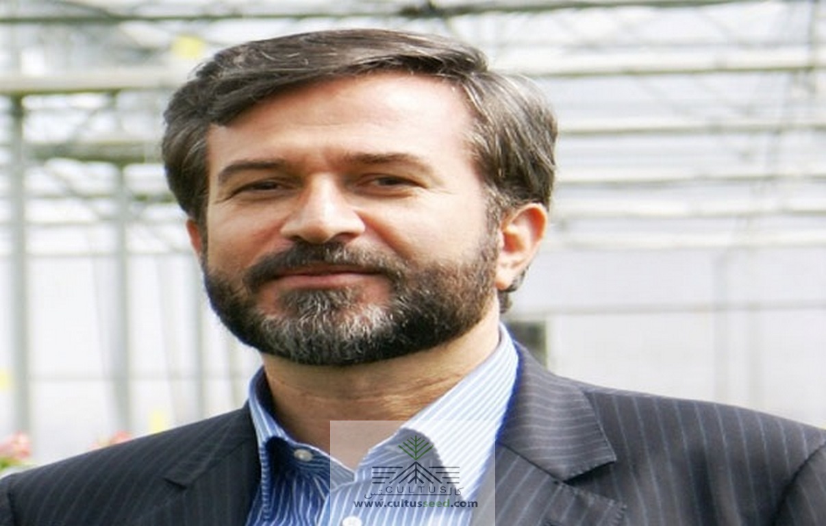 مهرزاد خرد