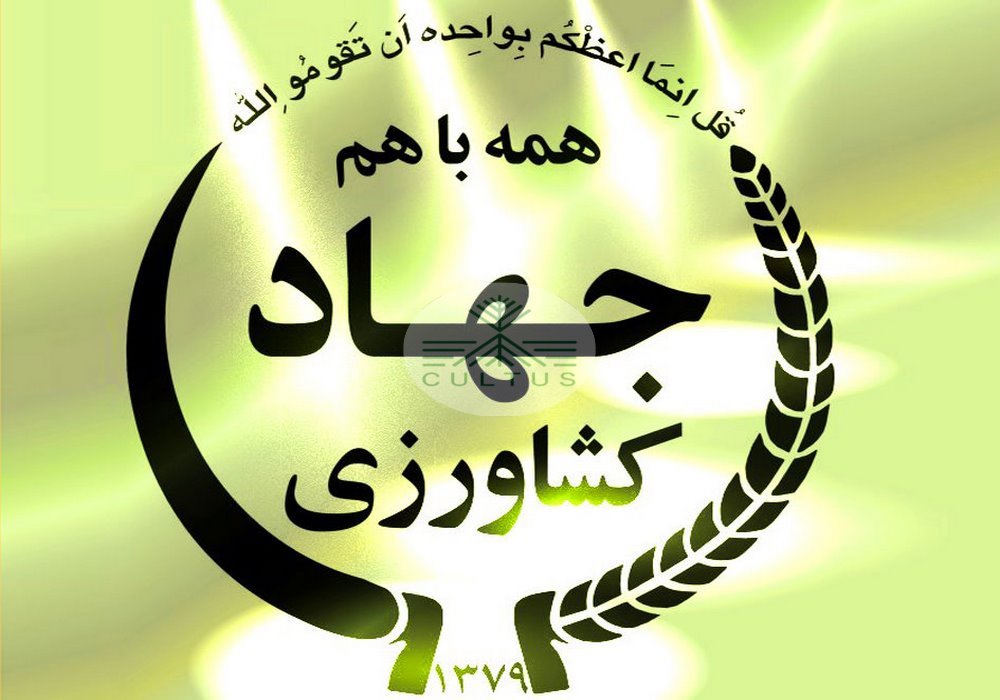 همکاری ۴۵۰ گروه جهادی با وزارت جهاد کشاورزی