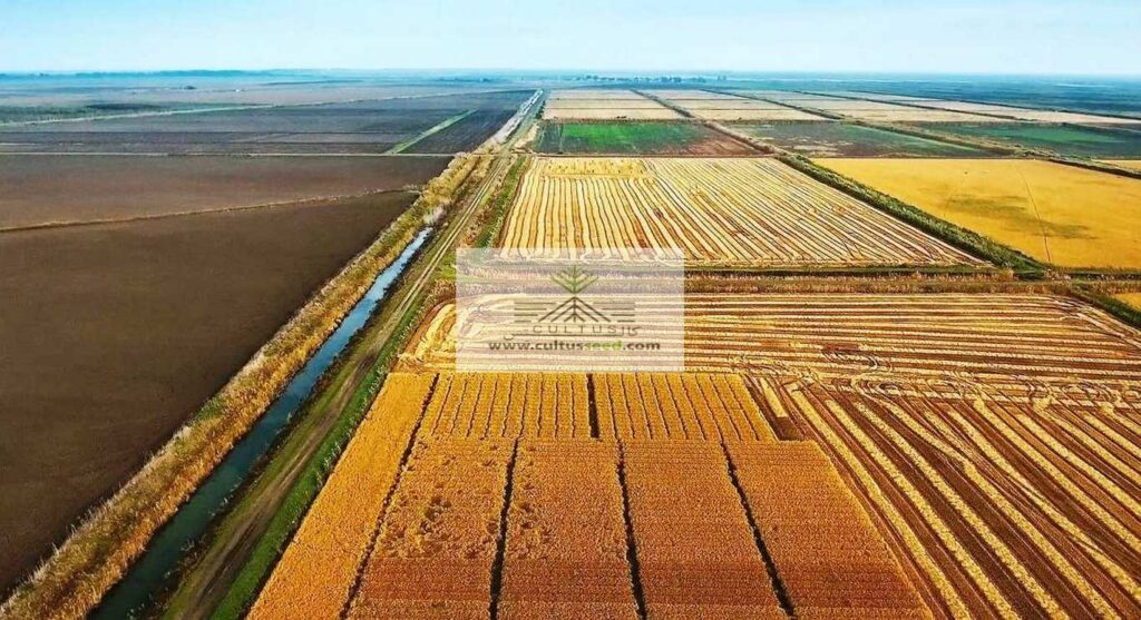 تسهیلات کشاورزی