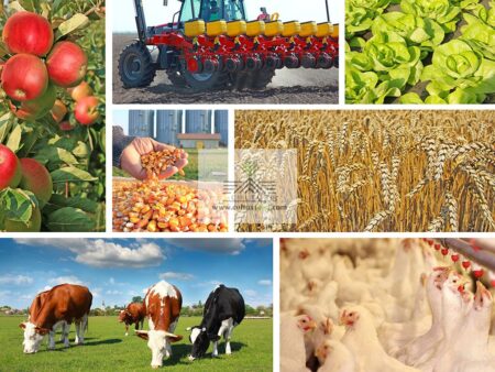 برنامه ایران برای کشت فراسرزمینی در برزیل، روسیه و اوکرای