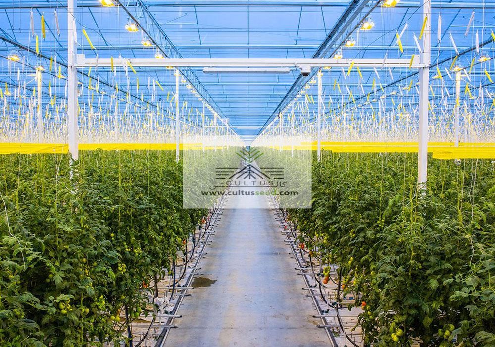 مدیریت گلخانه‌ای