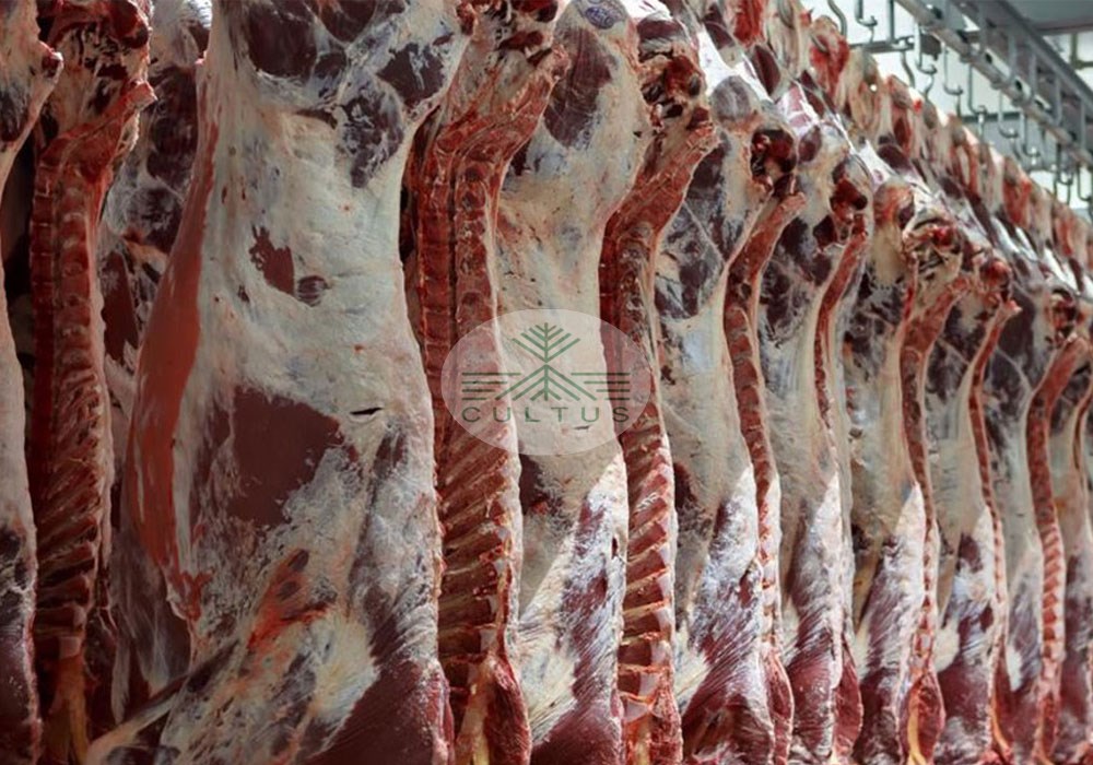 ارز 4200 تومانی و گرانفروشی