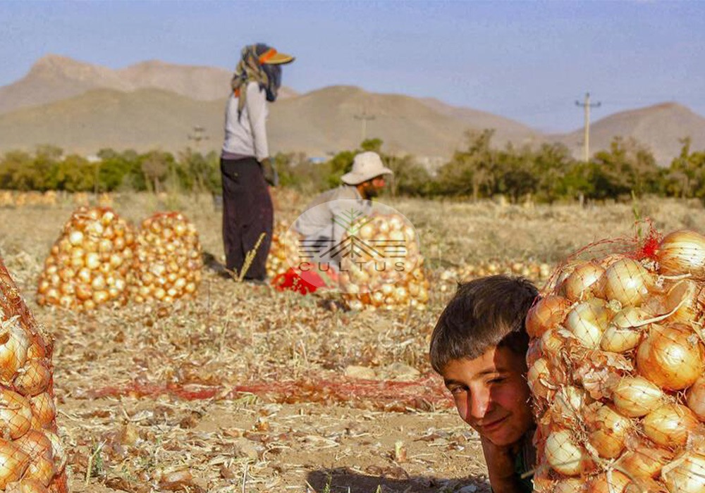 لکه سیاه