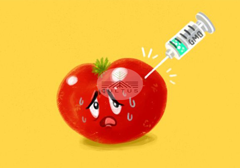 اصلاح ژنتیکی محصولات، چه فرقی با تراریخته دارد؟