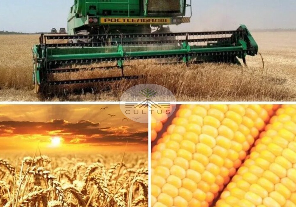 رفع موانع بخش کشاورزی نیازمند اقدامات بنیادی است