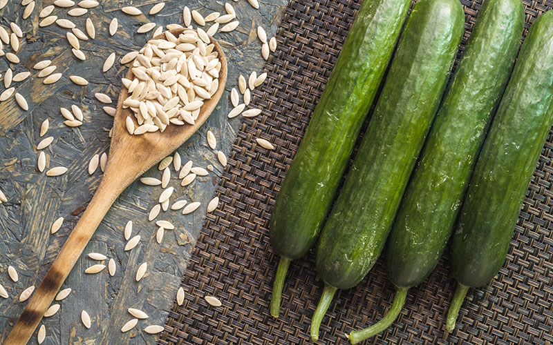 بهترین بذر خیار بوته ای فضای باز زمینی برای خرید بربارترین بذر ممتاز خیار سبز فضای باز مرغوب با کیفیت عالی تماس بگیرید. ارسال به کل کشور پربارترین بذر خیار فضای باز و انواع بذر خیار فضای باز و بذر خیار سبز فضای باز با قیمت مناسب بذر خیار فضای باز و بهترین بذر خیار برای فضای باز و مزرعه - ویژگی‌های کلی بهترین بذر مرغوب خیار فضای باز