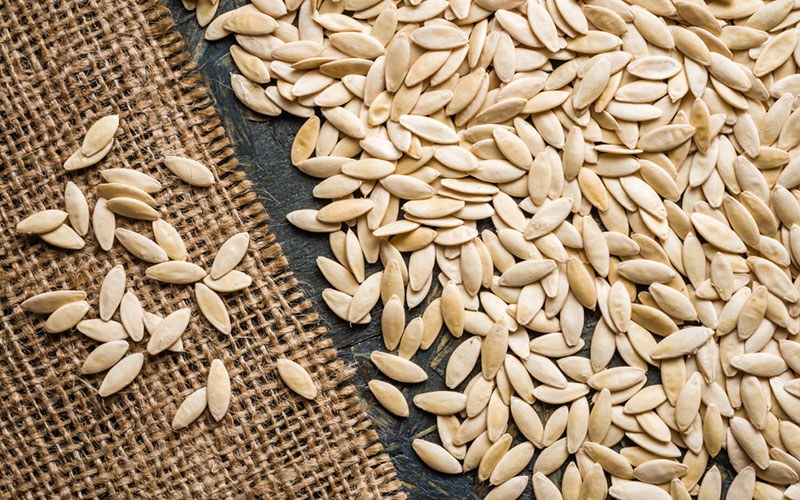 بذر خیار درختی + آموزش کامل روش کاشت و خرید اینترنتی بهترین نوع بذر اصلاح شده خیار سبز درختی با قیمت مناسب. با ارسال به سراسر کشور و مشاهده قیمت انواع بذر خیار درختی و خرید و فروش بذر خیار درختی و زمان کاشت بذر خیار درختی و نحوه کاشت بذر خیار درختی و کاشت بذر خیار درختی در گلدان و بذر خیار درختی ناگین هلند و بذر خیار درختی کیهان و بذر خیار درختی نگین و بذر خیار درختی گوهر - بهترین بذر خیار درختی