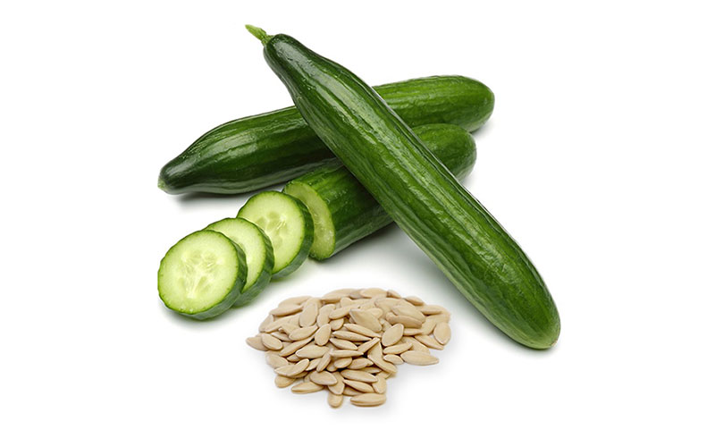 بذر خیار درختی + آموزش کامل روش کاشت و خرید اینترنتی بهترین نوع بذر اصلاح شده خیار سبز درختی با قیمت مناسب. با ارسال به سراسر کشور و مشاهده قیمت انواع بذر خیار درختی و خرید و فروش بذر خیار درختی و زمان کاشت بذر خیار درختی و نحوه کاشت بذر خیار درختی و کاشت بذر خیار درختی در گلدان و بذر خیار درختی ناگین هلند و بذر خیار درختی کیهان و بذر خیار درختی نگین و بذر خیار درختی گوهر - بذر خیار درختی