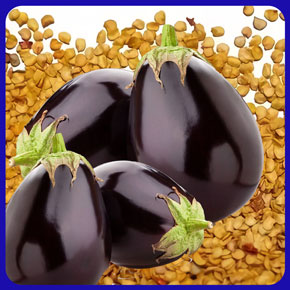 بذر بادمجان دلمه و آموزش کامل روش کاشت بذر بادمجان دلمه ای و خرید اینترنتی بهترین نوع بذر بادمجان دلمه با قیمت مناسب و ارسال به سراسر کشور مشخصات بادمجان دلمه نکات مهم برای نگهداری از بذر بادمجان دلمه زمان کاشت بذر بادمجان دلمه ای محل کاشت بذر بادمجان دلمه ای نحوه کاشت بذر بادمجان دلمه ای فضای باز خرید بذر بادمجان دلمه