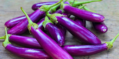 بذر بادمجان قلمی و آموزش کامل روش کاشت بذر بادمجان سیاه قلمی و خرید اینترنتی بهترین نوع بذر بادمجان قلمی با قیمت مناسب و ارسال به سراسر کشور بذر بادمجان قلمی بذر بادمجان قلمی ژاپنی بذر بادمجان قلمی کلش بذر بادمجان قلمی سیاه بذر بادمجان قلمی ویلمورین بذر بادمجان قلمی چاه بلند عنبری بذر بادمجان قلمی منصوری بذر بادمجان قلمی پارسیدبذر بادمجان قلمی کلش