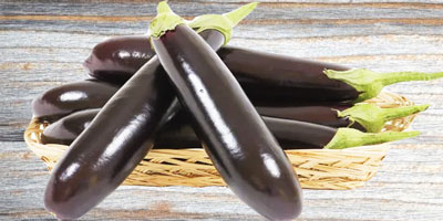 بذر بادمجان قلمی و آموزش کامل روش کاشت بذر بادمجان سیاه قلمی و خرید اینترنتی بهترین نوع بذر بادمجان قلمی با قیمت مناسب و ارسال به سراسر کشور بذر بادمجان قلمی بذر بادمجان قلمی ژاپنی بذر بادمجان قلمی کلش بذر بادمجان قلمی سیاه بذر بادمجان قلمی ویلمورین بذر بادمجان قلمی چاه بلند عنبری بذر بادمجان قلمی منصوری بذر بادمجان قلمی پارسیدبذر بادمجان قلمی پارسید