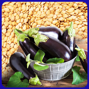 بذر بادمجان قلمی و آموزش کامل روش کاشت بذر بادمجان سیاه قلمی و خرید اینترنتی بهترین نوع بذر بادمجان قلمی با قیمت مناسب و ارسال به سراسر کشور بذر بادمجان قلمی بذر بادمجان قلمی ژاپنی بذر بادمجان قلمی کلش بذر بادمجان قلمی سیاه بذر بادمجان قلمی ویلمورین بذر بادمجان قلمی چاه بلند عنبری بذر بادمجان قلمی منصوری بذر بادمجان قلمی پارسید