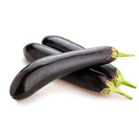 بهترین بذر بادمجان پرمحصول و معرفی انواع بذر بادمجان گلخانه ای و قیمت بذر بادمجان و سفارش آنلاین بذر بادمجان به همراه مشخصات بذر بادمجان خارجی و ایرانی بهترین بذر بادمجان گلخانه ای بهترین بذر بادمجان فضای باز بهترین بذر بادمجان لامپی انواع بذر بادمجان قیمت بذر بادمجان-بذر بادمجان آیدین سیاهی
