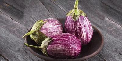 بهترین بذر بادمجان پرمحصول و معرفی انواع بذر بادمجان گلخانه ای و قیمت بذر بادمجان و سفارش آنلاین بذر بادمجان به همراه مشخصات بذر بادمجان خارجی و ایرانی بهترین بذر بادمجان گلخانه ای بهترین بذر بادمجان فضای باز بهترین بذر بادمجان لامپی انواع بذر بادمجان قیمت بذر بادمجان-بذر بادمجان بنفش