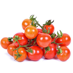 خرید بذر گوجه چری قرمز گیلاسی عمده و جزیی و قیمت خرید بذر گوجه قرمز گیلاسی گلخانه ای و نحوه کاشت بذر گوجه گیلاسی مشاوره رایگان و ارسال سریع خرید بذر گوجه گیلاسی خرید بذر گوجه گیلاسی گلدانی قیمت بذر گوجه گیلاسی خرید بذر گوجه فرنگی تهیه بذر گوجه گیلاسی خرید بذر گوجه فرنگی گلخانه ای بذر گوجه گیلاسی بذر گوجه گیلاسی گلخانه ای بذر گوجه گیلاسی گلدانی بذر گوجه گیلاسی فضای باز بذر گوجه گیلاسی بذر گوجه گیلاسی سیاه بذر گوجه گیلاسی خوشه ای بذر گوجه گیلاسی زرد بذر گوجه گیلاسی قرمز بذر گوجه گیلاسی قرمز