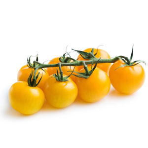 خرید بذر گوجه چری قرمز گیلاسی عمده و جزیی و قیمت خرید بذر گوجه قرمز گیلاسی گلخانه ای و نحوه کاشت بذر گوجه گیلاسی مشاوره رایگان و ارسال سریع خرید بذر گوجه گیلاسی خرید بذر گوجه گیلاسی گلدانی قیمت بذر گوجه گیلاسی خرید بذر گوجه فرنگی تهیه بذر گوجه گیلاسی خرید بذر گوجه فرنگی گلخانه ای بذر گوجه گیلاسی بذر گوجه گیلاسی گلخانه ای بذر گوجه گیلاسی گلدانی بذر گوجه گیلاسی فضای باز بذر گوجه گیلاسی بذر گوجه گیلاسی سیاه بذر گوجه گیلاسی خوشه ای بذر گوجه گیلاسی زرد بذر گوجه گیلاسی قرمز بذر گوجه گیلاسی زیتونی -خرید بذر گوجه چری قرمز گیلاسی عمده و جزیی و قیمت خرید بذر گوجه قرمز گیلاسی گلخانه ای و نحوه کاشت بذر گوجه گیلاسی مشاوره رایگان و ارسال سریع خرید بذر گوجه گیلاسی خرید بذر گوجه گیلاسی گلدانی قیمت بذر گوجه گیلاسی خرید بذر گوجه فرنگی تهیه بذر گوجه گیلاسی خرید بذر گوجه فرنگی گلخانه ای بذر گوجه گیلاسی بذر گوجه گیلاسی گلخانه ای بذر گوجه گیلاسی گلدانی بذر گوجه گیلاسی فضای باز بذر گوجه گیلاسی بذر گوجه گیلاسی سیاه بذر گوجه گیلاسی خوشه ای بذر گوجه گیلاسی زرد بذر گوجه گیلاسی قرمز بذر گوجه گیلاسی زیتونی -بذر گوجه گیلاسی زرد