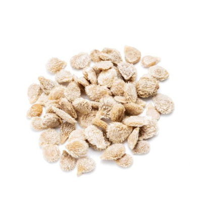 خرید و فروش بذر گوجه فرنگی و خرید بذر گوجه به صورت عمده و جزیی به همراه لیست قیمت روز و مشاوره رایگان خرید بذر گلخانه ای + ارسال سریع بذر گوجه خرید بذر گوجه بذر گوجه فرنگی خرید بذر گوجه فرنگی فروش بذر گوجه فرنگیخرید و فروش بذر گوجه فرنگی فروشگاه بذر گوجه کاشت بذر گوجه فرنگی خرید بذر گوجه فرنگی گلخانه ای خرید بذر گوجه فرنگی بریویو خرید بذر گوجه فرنگی درختی خرید بذر گوجه فرنگی خرید بذر جدید گوجه فرنگی خرید بذر گوجه فرنگی مارول خرید بذر گوجه 6108 خرید بذر گوجه ۶۶۹۹ خرید بذر گوجه 6189 خرید بذر گوجه 911 - سالم بودن بذرها