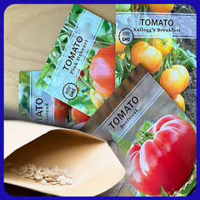 خرید و فروش بذر گوجه فرنگی و خرید بذر گوجه به صورت عمده و جزیی به همراه لیست قیمت روز و مشاوره رایگان خرید بذر گلخانه ای + ارسال سریع بذر گوجه خرید بذر گوجه بذر گوجه فرنگی خرید بذر گوجه فرنگی فروش بذر گوجه فرنگیخرید و فروش بذر گوجه فرنگی فروشگاه بذر گوجه کاشت بذر گوجه فرنگی خرید بذر گوجه فرنگی گلخانه ای خرید بذر گوجه فرنگی بریویو خرید بذر گوجه فرنگی درختی خرید بذر گوجه فرنگی خرید بذر جدید گوجه فرنگی خرید بذر گوجه فرنگی مارول خرید بذر گوجه 6108 خرید بذر گوجه ۶۶۹۹ خرید بذر گوجه 6189 خرید بذر گوجه 911