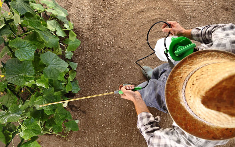 قیمت بذر خیار بوته ای و بررسی هزینه انواع بذرهای آرکا بذر ایرانیان، وانیا سید، پردیس سبز برای کشت خیار بوته ای + سفارش آنلاین مشاوره رایگان قیمت بذر خیار آمریکایی بذر خیار بوته ای پربار قیمت بذر خیار گلخانه ای قیمت هر کیلو بذر خیار فرق خیار بوته ای و درختی بذر خیار پر بار قیمت بذر خیار بوته ای قیمت خیار بوته ای امروز قیمت خیار بوته ای ریز قیمت خیار بوته ای بذر خیار بوته ای پربار بوته خرید خیار بوته ای خیار بوته ای خیار بوته ای قیمت خرید بذر خیار بوته ای خرید بوته خیار خیار بوته ای ریز بذر خیار بوته ای کشت خیار گلخانه ای قیمت بذر خیار ویولا بوته ی خیار بوته ی خیار چنبر بذر خیار 2n قیمت خیار بذر خیار - تکنیک‌های اساسی برای کنترل و پیشگیری از آفات خیار بوته‌ای