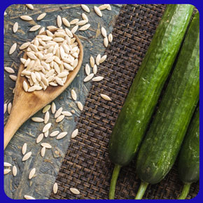 قیمت بذر خیار بوته ای و بررسی هزینه انواع بذرهای آرکا بذر ایرانیان، وانیا سید، پردیس سبز برای کشت خیار بوته ای + سفارش آنلاین مشاوره رایگان قیمت بذر خیار آمریکایی بذر خیار بوته ای پربار قیمت بذر خیار گلخانه ای قیمت هر کیلو بذر خیار فرق خیار بوته ای و درختی بذر خیار پر بار قیمت بذر خیار بوته ای قیمت خیار بوته ای امروز قیمت خیار بوته ای ریز قیمت خیار بوته ای بذر خیار بوته ای پربار بوته خرید خیار بوته ای خیار بوته ای خیار بوته ای قیمت خرید بذر خیار بوته ای خرید بوته خیار خیار بوته ای ریز بذر خیار بوته ای کشت خیار گلخانه ای قیمت بذر خیار ویولا بوته ی خیار بوته ی خیار چنبر بذر خیار 2n قیمت خیار بذر خیار