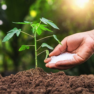 خرید انواع بذر گلخانه ای و بذر گلخانه ای گوجه و بذر گلخانه ای خیار و بذر ملون گلخانه ای و بذر بادمجان گلخانه ای و بذر فلفل گلخانه ای - کودهای با رهش کنترل شده