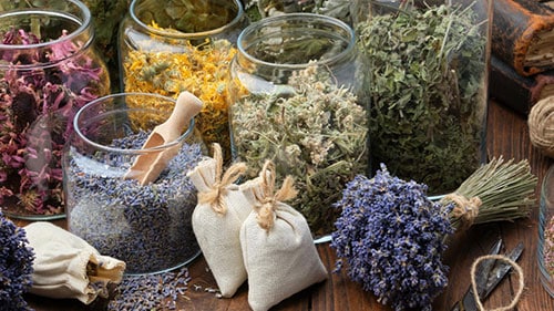 خرید انواع بذر گلخانه ای و بذر گلخانه ای گوجه و بذر گلخانه ای خیار و بذر ملون گلخانه ای و بذر بادمجان گلخانه ای و بذر فلفل گلخانه ای - گیاهان دارویی