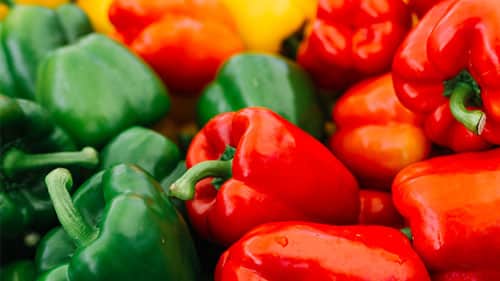 خرید انواع بذر گلخانه ای و بذر گلخانه ای گوجه و بذر گلخانه ای خیار و بذر ملون گلخانه ای و بذر بادمجان گلخانه ای و بذر فلفل گلخانه ای - فلفل