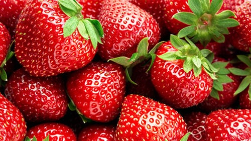 خرید انواع بذر گلخانه ای و بذر گلخانه ای گوجه و بذر گلخانه ای خیار و بذر ملون گلخانه ای و بذر بادمجان گلخانه ای و بذر فلفل گلخانه ای - توت فرنگی
