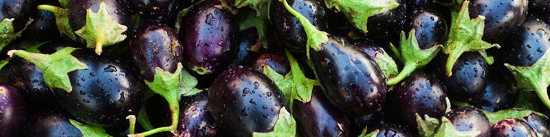 خرید اینترنتی انواع بذر صیفی جات خارجی اصلاح شده مرغوب و فروش اینترنتی بذر صیفی جات و سبزیجات و خاص و ایرانی و فروش عمده و لیست قیمت - بذر بادمجان