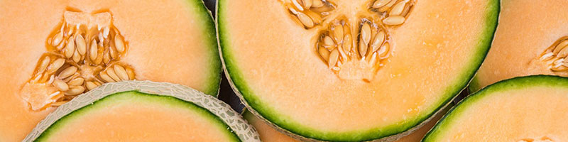 خرید اینترنتی انواع بذر صیفی جات خارجی اصلاح شده مرغوب و فروش اینترنتی بذر صیفی جات و سبزیجات و خاص و ایرانی و فروش عمده و لیست قیمت - بذر ملون