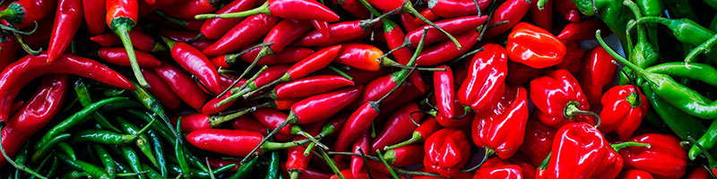 خرید اینترنتی انواع بذر صیفی جات خارجی اصلاح شده مرغوب و فروش اینترنتی بذر صیفی جات و سبزیجات و خاص و ایرانی و فروش عمده و لیست قیمت - بذر فلفل