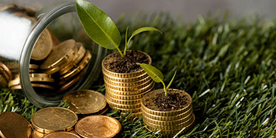 فروشگاه فروش بذر صیفی جات و خرید اینترنتی بذر صیفی جات هیبرید و ارگانیک و گلخانه ای و خاص و بهترین برند بذر صیفی جات و فروش عمده + قیمت - کاهش هزینه‌ها