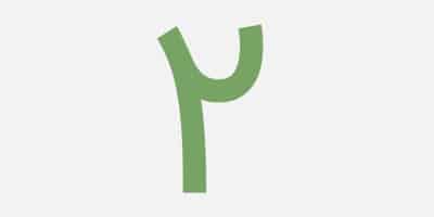 Internet-Sales-Site-of-All-Kinds-of-Seeds-2