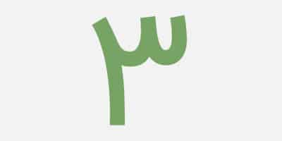 Internet-Sales-Site-of-All-Kinds-of-Seeds-3
